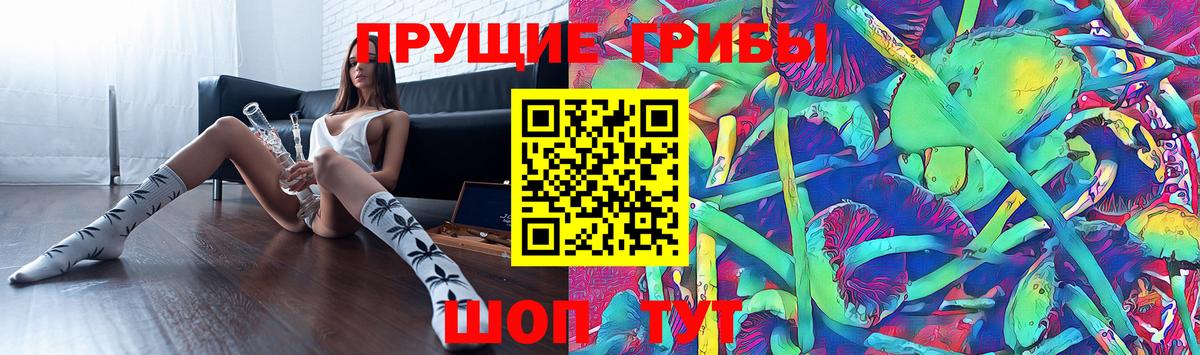 Галлюциногенные грибы Psilocybe Чита