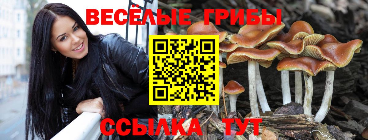 APVP СК   Вход с VPN  Чита  Кокаин  Экстази  Каннабис  Гашиш  МЕФ кристаллы  Кетамин 