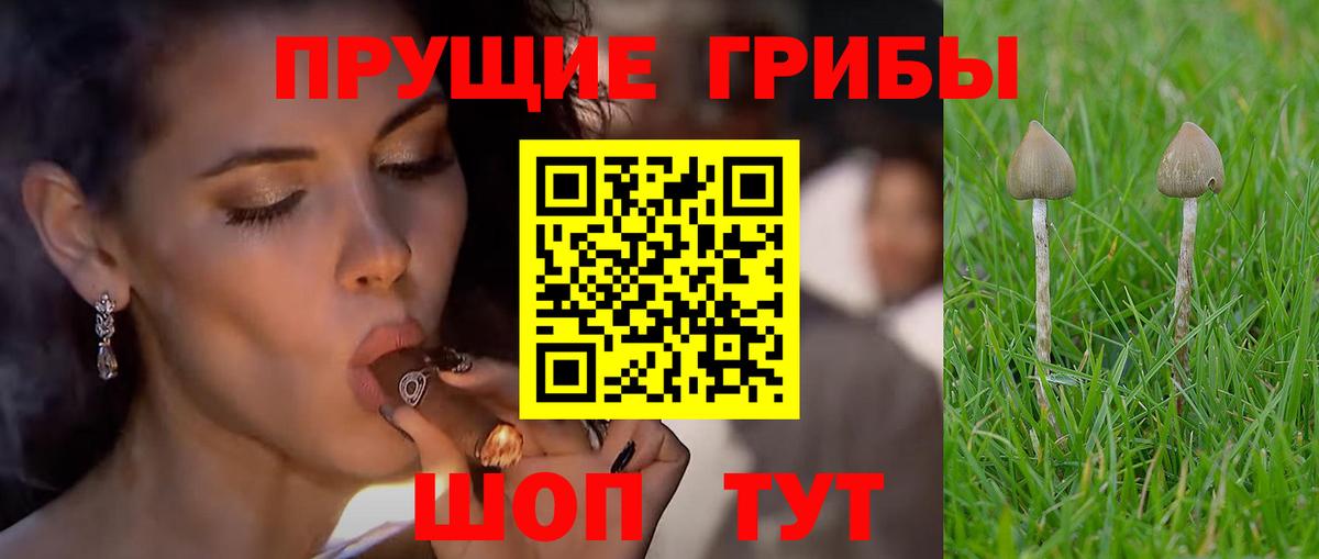 Чита  Галлюциногенные грибы GOLDEN TEACHER  Вход с VPN 